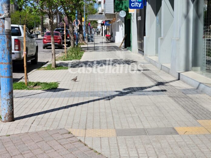 veredas del centro- (1)